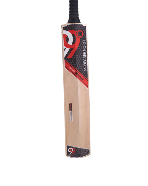 NEXXUS KASHMIR WILLOW BAT
