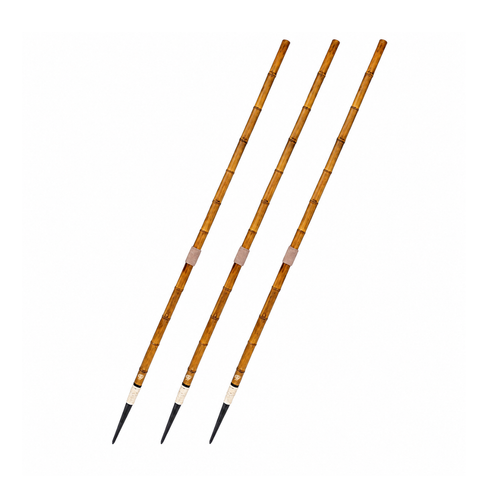 Javelin Throw (Wooden)