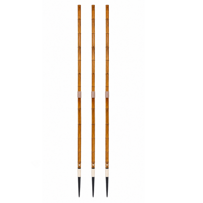 Javelin Throw (Wooden)