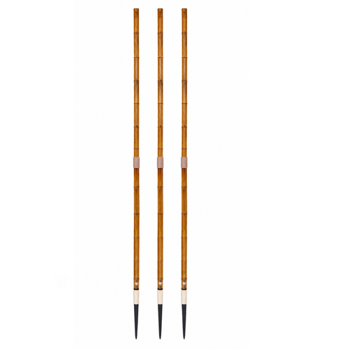 Javelin Throw (Wooden)