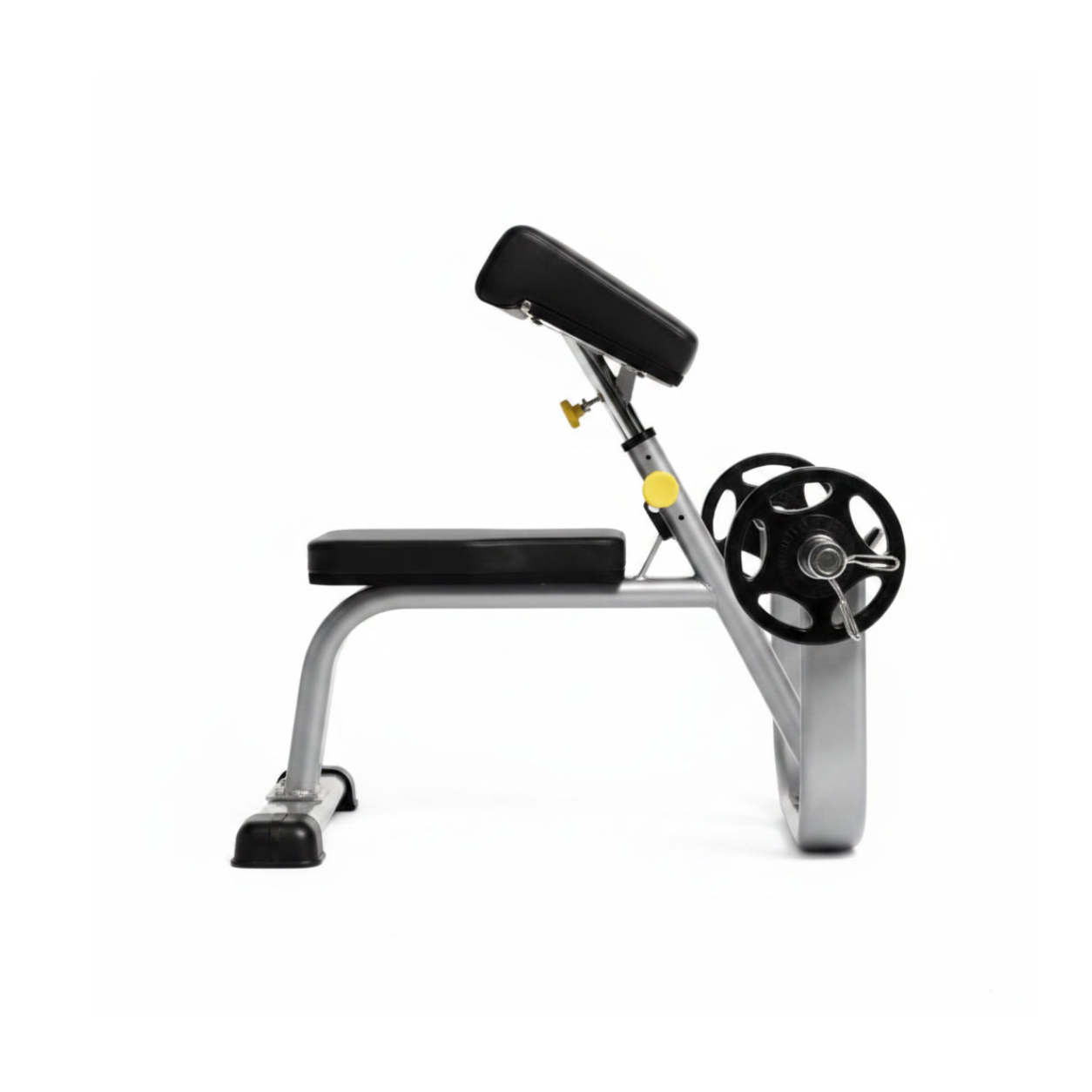 Arm Curl Bench