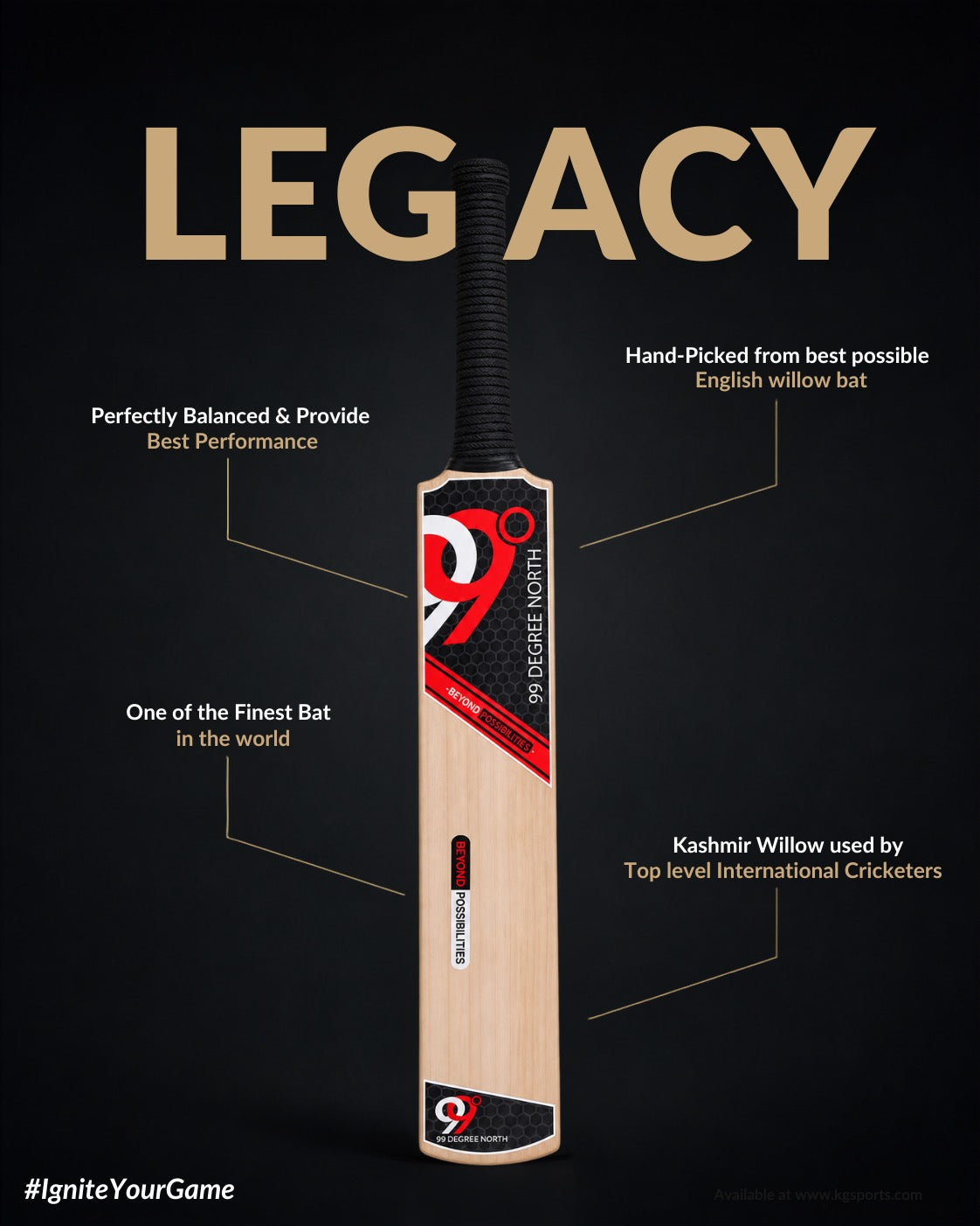 NEXXUS KASHMIR WILLOW BAT